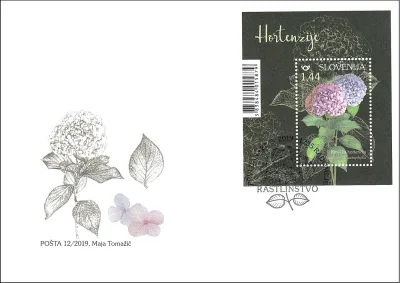 RASTLINSTVO - HORTENZIJE